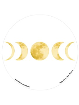 Autocolant pentru fereastră...