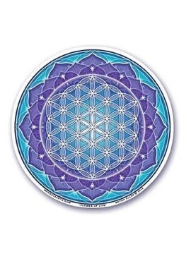 Sticker pentru fereastră...