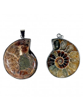 Pandantiv din amonit -- 3.5 cm