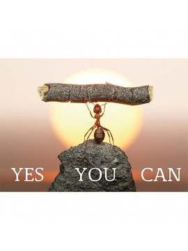 Cărți poștale "YES YOU CAN"-- 15x10.5 cm