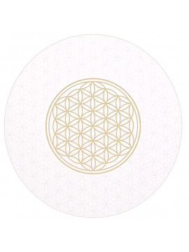 Suporturi pentru pahare...